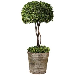 Uttermost 33" High Preserved Boxwood Tree Topiary   #U7303