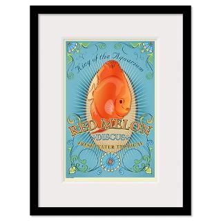 Discus Fish Framed Prints  Discus Fish Framed Posters