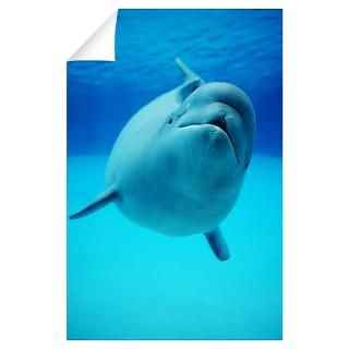 Wall Art  Wall Decals  Baby Beluga Whale Swimming