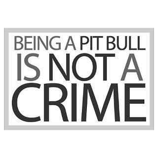 Wall Art  Posters  Pit Bull Not Crime Poster
