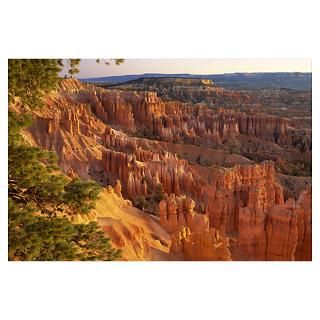 Queens Garden hoodoos at sunrise. Bryce Canyon Poster