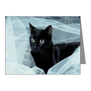 Cat Stationery  Cards, Invitations, Greeting Cards & More