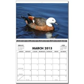New Zealand birds 2013 Wall Calendar by jdnz