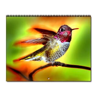 Photo Birds Notepad Home Office > 2010 Hummingbird Wall Calendar