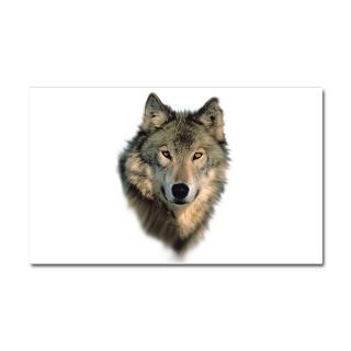 Palin Gifts  Palin Car Accessories  Wolf Stare Car Magnet 20 x 12