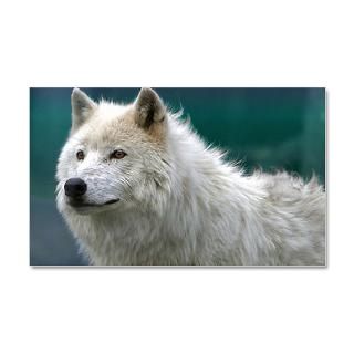 Gifts  Wall Decals  White Wolf 22x14 Wall Peel