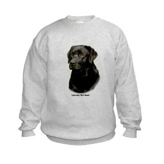 Labrador Hoodies & Hooded Sweatshirts  Buy Labrador Sweatshirts