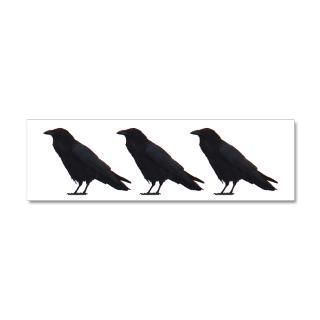 Bird Gifts  Bird Wall Decals  Black Crows 36x11 Wall Peel