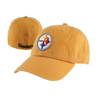 Pittsburgh Steelers Gold 47 Brand Franchise Fitted Hat