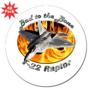 22 Raptor 3 Inch Lapel Sticker (48 pk) for $30.00