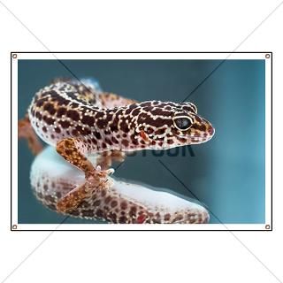 Leopard Gecko   Banner for $59.00