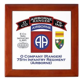 75 (Ranger), 101st Airborne Division, LRSD