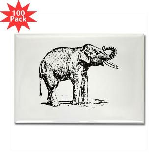 Kitchen and Entertaining  Rectangle Magnet (100 pack) elephant