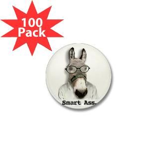 Donkeys 101  Donkeys 101 The Beginners Guide Book and Gift