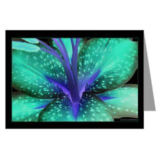 Abstract Gifts  Abstract Greeting Cards  Stargazer Lily Abstract