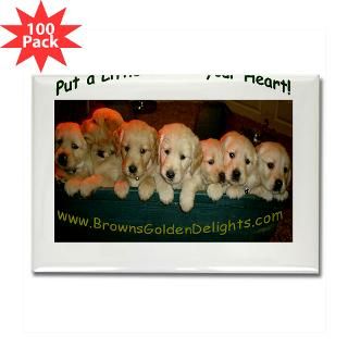 Browns Golden Delights  Golden Retriever Dog Breeder puppy photo on