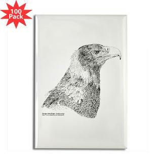 wedge tailed eagle fine rectangle magnet 100 pack $ 153 98