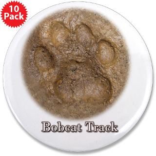 Real Bobcat Pawprint  Trackers Tracking and Nature Store