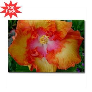 orange hibiscus rectangle magnet 100 pack $ 178 19