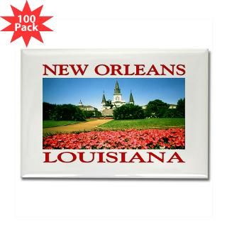 new orleans louisiana rectangle magnet 100 pack $ 179 99