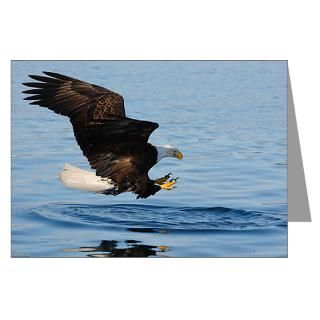 Bald Eagle Fishing Greeting Cards (Pk of 10) for