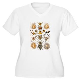 Spiders Womens Plus Size Tees  Spiders Ladies Plus Size T Shirts