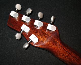 2010 Rob Allen Prototype Guitar Flamed Maple Brazilian Rosewood