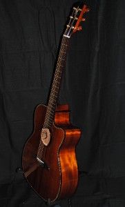 Alvarez Yairi WY1K Acoustic Guitar Koa New w Case