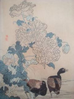 Antique Japanese Kono Bairei (1844 1895) Poppy Scoter Duck Woodblock