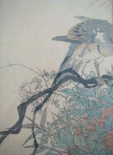 Antique Asian Japanese Kono Bairei (1844 1895) Bird Woodblock Print