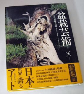 Japan Kunio Kobayashi Bonsai Geijutsu Works Photo Book