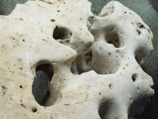 Natural Texas Holey Limestone Cichlid Aquarium Rock 55