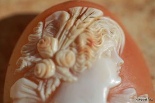 Large Antique Italian Hand Carved Shell Cameo Unset No Setting