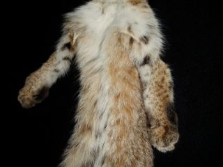 Bobcat 1 Garm Qlty Hide Case Cut Hvy Fur Soft Tan All 4 Feet and Claws