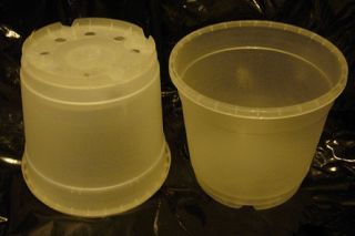 Clear Plastic Pots for Orchids ROUND 6 inches x 5.5 inches (set of 5