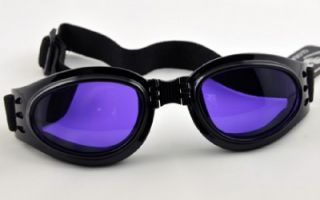 Purple Lens Goggles Sunglasses Gothic Vampire Anime Cosplay Biker