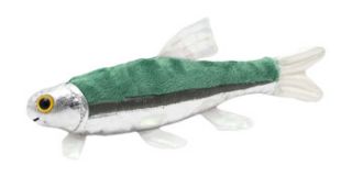 Our little fishies are perfect for your favorite shark or minnow.