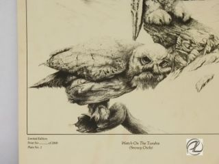 Drawing Art Owl Harry Duncan Owls Sign Limited Pen Ink
