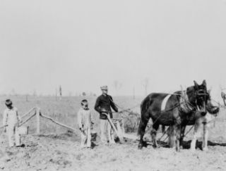 Farmer and two boys plowing with two horses or mules in Lonoke Cou d4