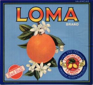Loma Vintage Orange Crate Label Santa Paula CA