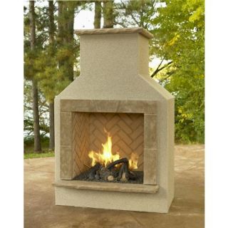 Complete Outdoor Fireplace Propane Gas Logs Safety Pilot Assy Backyard