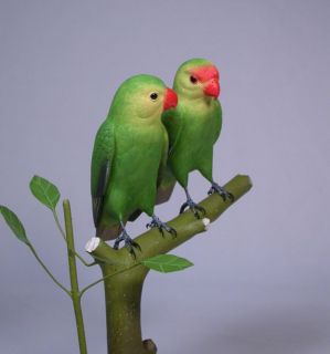 Pair of Abyssinian Lovebirds Bird Wood Carving Birdhug