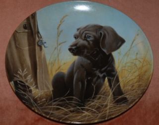 Knowles Lynn Kaatz Lt Ed Plate Weimaraner Puppy