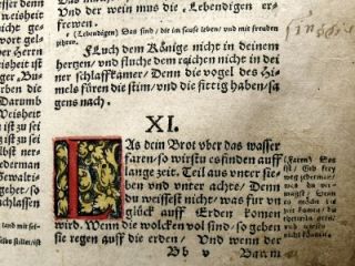 1549 Luther Bible Leaf 3 Woodcut Initials and 2 Cherubs Original