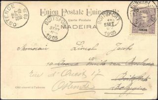 Portugal Madeira Street Bullock Sledge 1905 Stamp