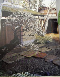 Japan Kunio Kobayashi Bonsai Geijutsu Works Photo Book