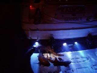 3X Underwater LED Boat Lights Dock Lamps Fish Marine Yacht Hull Bronze