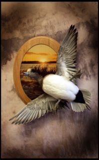 Stud Wigeon Duck Taxidermy Bird Art Decor Decoy Hunt