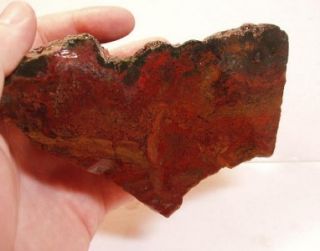 HS Maury Mountain Moss Agate Rough Red WOW
