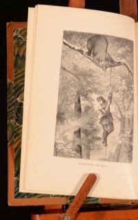 1896 The Boy Hunters Captain Mayne Reid Nimrod Edition Illustrated